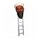 Osama Bin Ladder