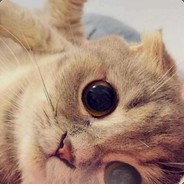 ivory - steam id 76561197963231070