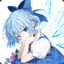 CIRNO