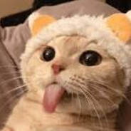 mustyK :> - steam id 76561198318116875