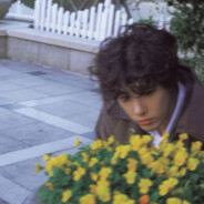 奇妙の碳基生物