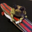 Toad on a Tech-Deck with a Joint