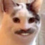 Kimister