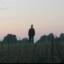 Kisiel_pl