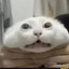 Kiwinatorator