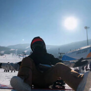 英勇无畏先锋豹