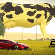 17 N - steam id 76561198207506035