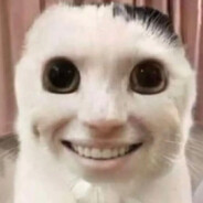 Sí