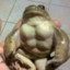 swole froge