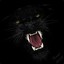Panther