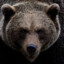 Eye of the BEAR