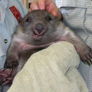 Nijo I'm RoCk sTaR hUuuUh?!