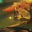 Master Oogway