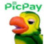 Papagaio do PicPay