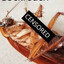 Crotchroach