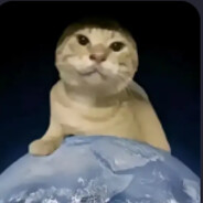 圆哈耄