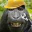 MONKE