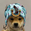 Atka