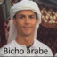 bicho arabe