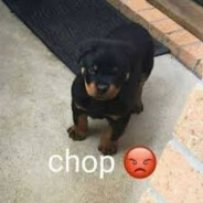 chop