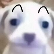 我的智力有问题