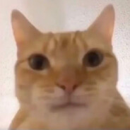 芽衣姐我不想死