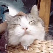 炼狱小镇镇长（已退休