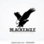 TheBlackEagle