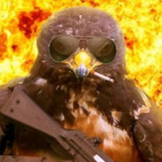 Spy Hawk - steam id 76561197964078852