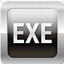.EXE