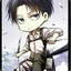 Levi