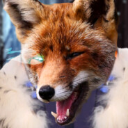 FOXMAN's avatar