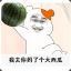 骑在Sha1泽脖子上的鑫酱