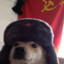 rogalskirafal49