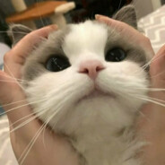 洛洛睡醒了呀Ya