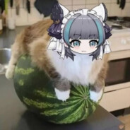 柔情猫娘粥