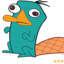 perry