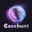 Анус CASEHUNT