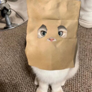 豆腐脑是咸的！