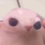 Bingus