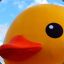 Quackatoa