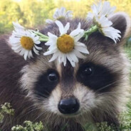 TrashedPanda333