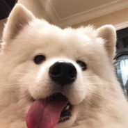 能把小电塞进姐姐的大长弓嘛