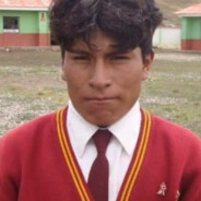 Destructor de Chacras