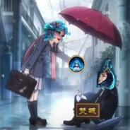 波兰有许多野鸭子