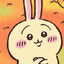 Usagi.
