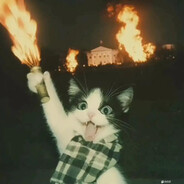 混过社会卖过萌