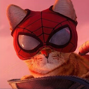 Spider_Cat