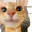 miau
