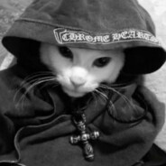 тимоша ветмо